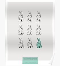 freightened rabbit lyrics death dream genius