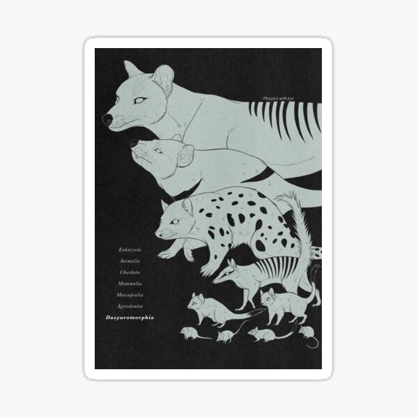 Item preview, Dasyuromorphia: Tasmanian Tiger and Family designed and sold by Mousewren.