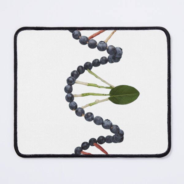 Item preview, Healthy DNA: Fruits, Veggies, and Nuts Design for Nature Lovers designed and sold by Bmd4Fitness.