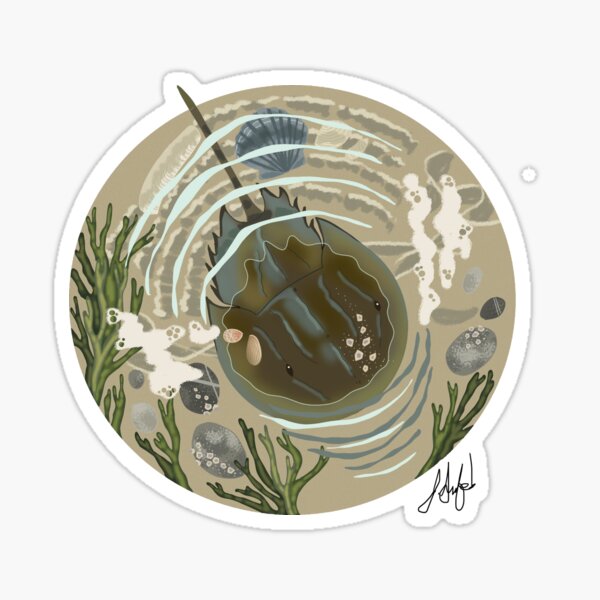 Item preview, Horseshoe Crab designed and sold by jswinford.
