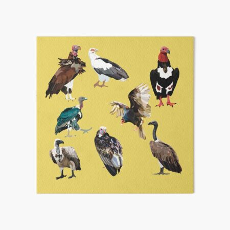 Item preview, V is for Vulture.Vulture Illustration – Majestic Scavenger Bird Wildlife Art designed and sold by PrettylittlepastelUk.