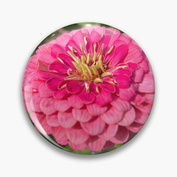 Item preview, Pink Zinnia designed and sold by Fawnadeer.