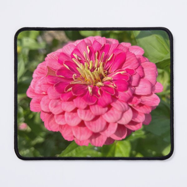 Item preview, Pink Zinnia designed and sold by Fawnadeer.