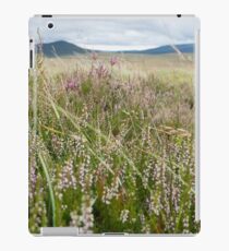 Ireland iPad Case/Skin