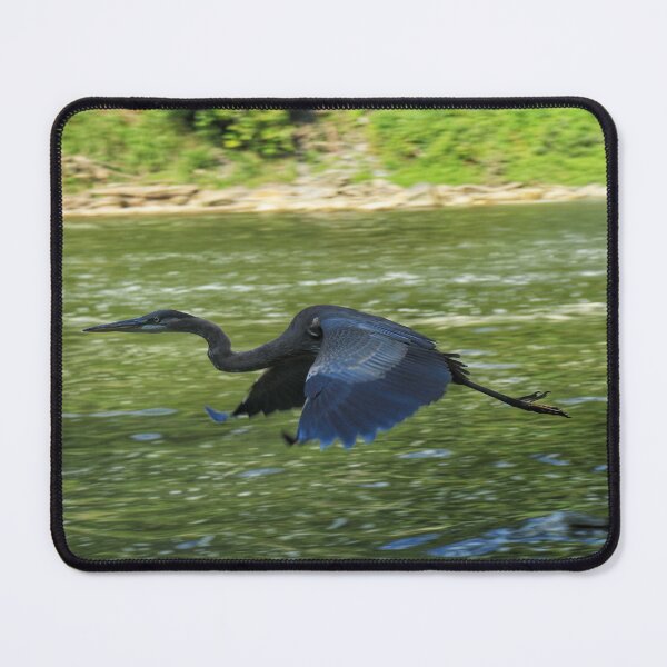 Item preview, Taking flight designed and sold by Chris Coates Photography.com.