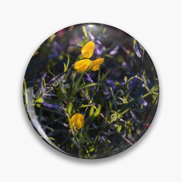 Item preview, Looking A View  - The Simplicity of the Beautiful  designed and sold by Carl Gaynor.