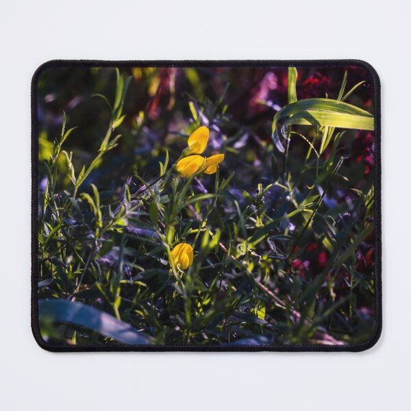 Item preview, Looking A View  - The Simplicity of the Beautiful  designed and sold by Carl Gaynor.