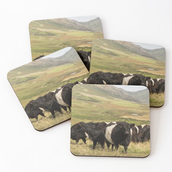 Item preview, Belted Galloway Cows designed and sold by Jane Stanley Photography.