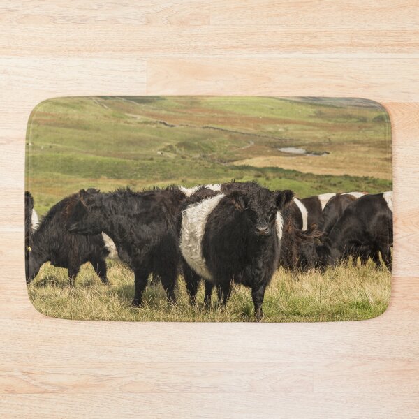 Item preview, Belted Galloway Cows designed and sold by Jane Stanley Photography.