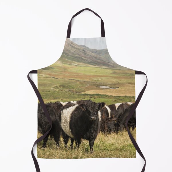 Item preview, Belted Galloway Cows designed and sold by Jane Stanley Photography.