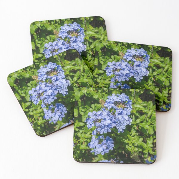 Item preview, Plumbago Blue Flower Tree designed and sold by SafariByMarisa.