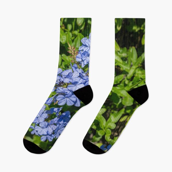 Item preview, Plumbago Blue Flower Tree designed and sold by SafariByMarisa.