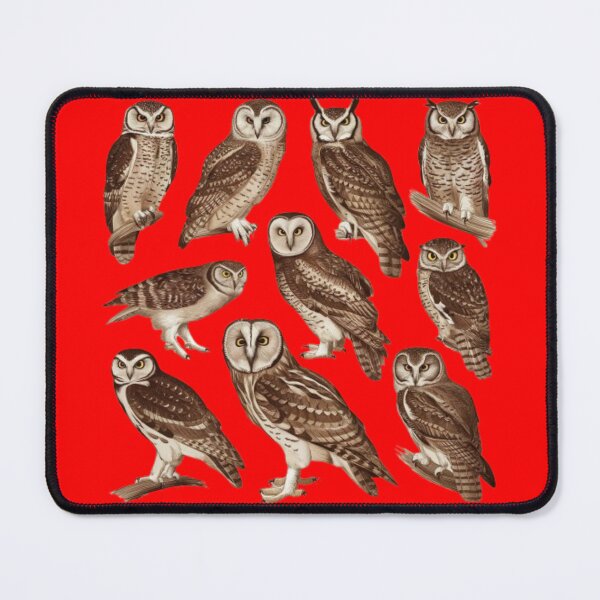 Item preview, a vintage naturalist's sketch featuring ten different owl species designed and sold by 123ks.