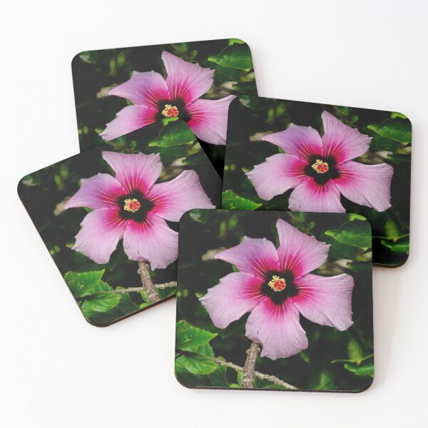 Item preview, Pink Hibiscus Flower in Bloom designed and sold by SafariByMarisa.