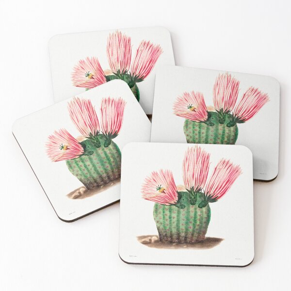 Item preview, Rainbow Cactus designed and sold by Zoozwear Apparel.