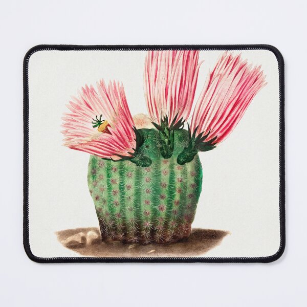 Item preview, Rainbow Cactus designed and sold by Zoozwear Apparel.