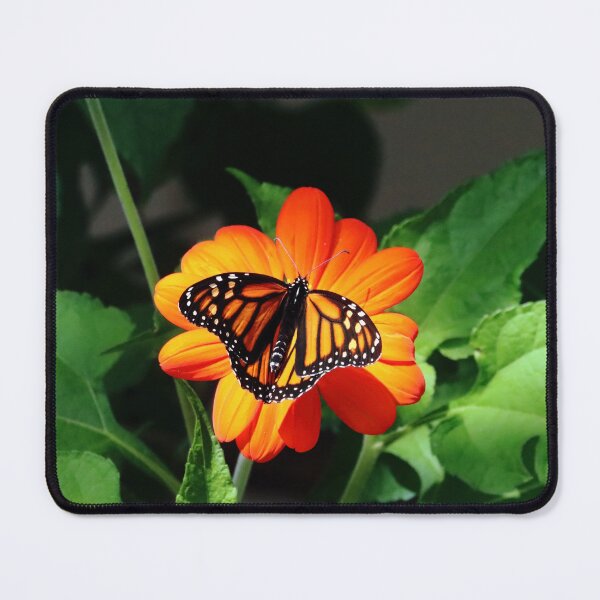 Item preview, Orange In Nature designed and sold by Deb Oppermann.