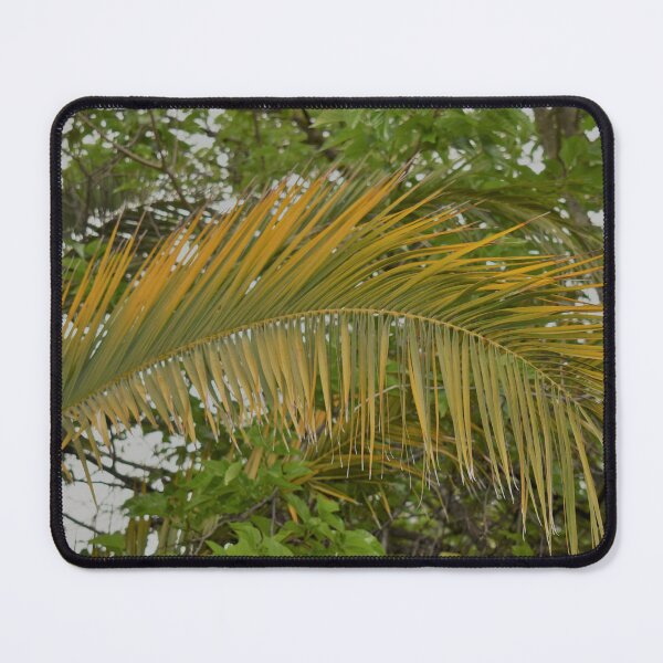 Item preview, Palm Leaf designed and sold by MangoSeeds.