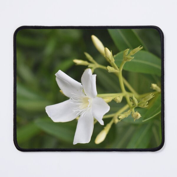 Item preview, White Oleander designed and sold by MangoSeeds.
