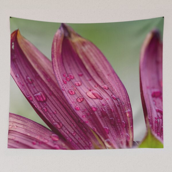 Item preview, Red sunflower petals and morning dew designed and sold by Cblifeisgood.