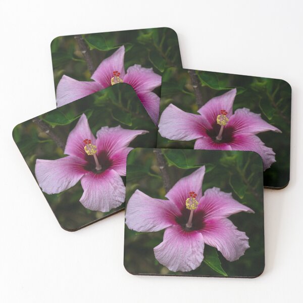 Item preview, Pink Hibiscus Flower Stamen designed and sold by SafariByMarisa.