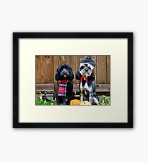 Fall Pups Framed Print