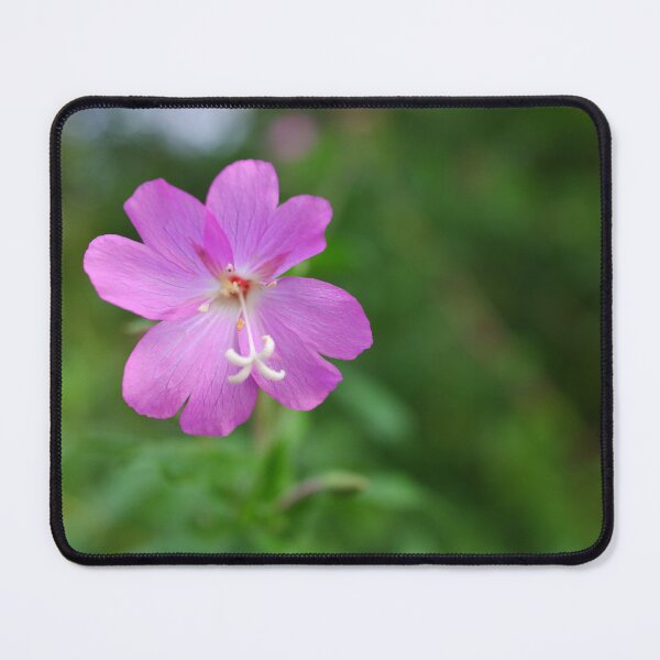 Item preview, Rose Bay Willow herb designed and sold by CatherineMoore4.