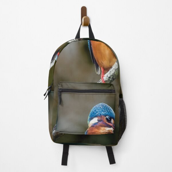 Item preview, Kingfisher designed and sold by Tom McPherson Photography.