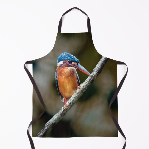 Item preview, Kingfisher designed and sold by Tom McPherson Photography.