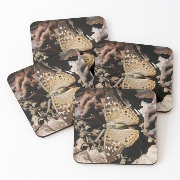 Item preview, Hackberry emperor  designed and sold by McFleur's Lens.