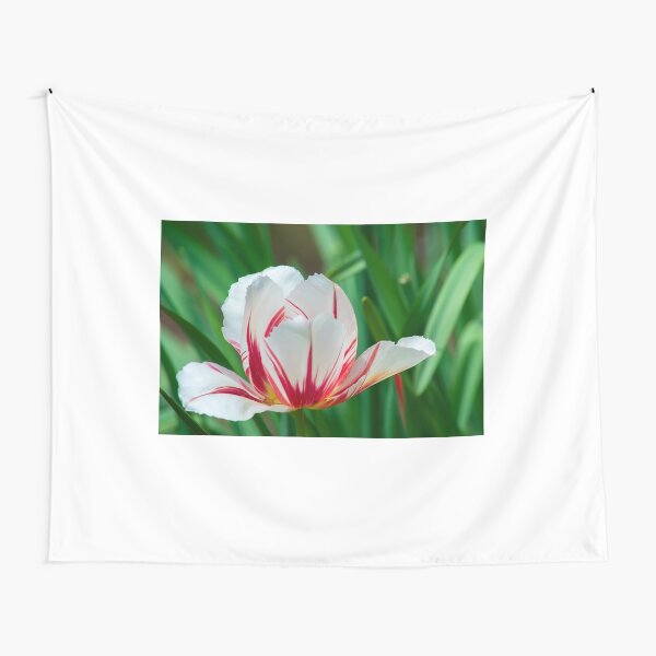 Rembrandt Tulip Tapestry
