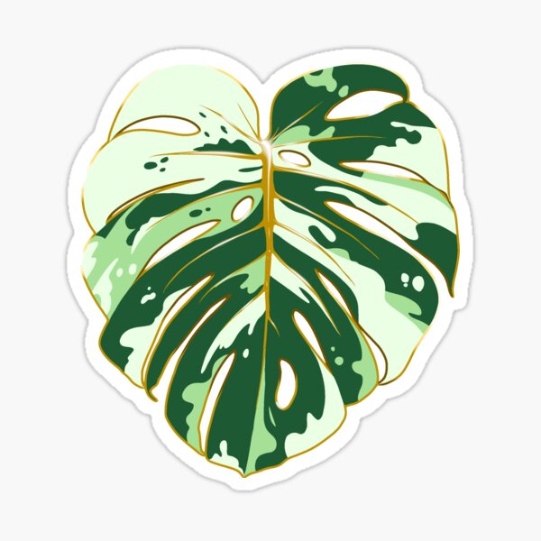 Vista previa del artículo con la obra «Monstera Albo», diseñado y vendido por RealBrewedTea.