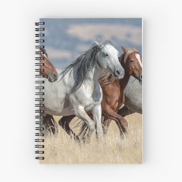 Item preview, Freedom in Motion designed and sold by msharabas.