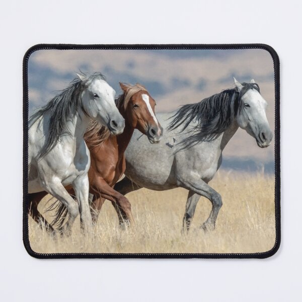 Item preview, Freedom in Motion designed and sold by msharabas.