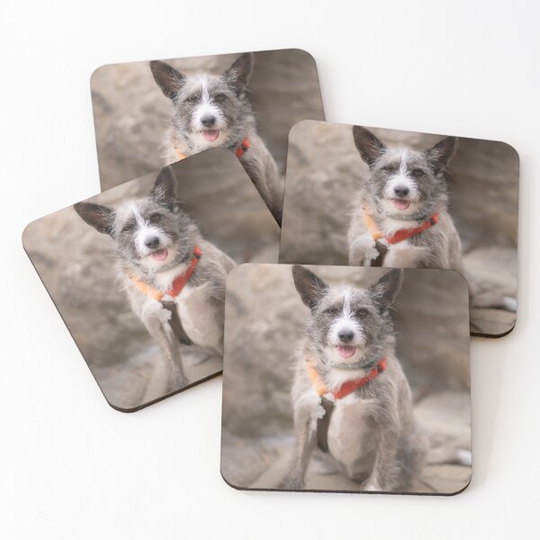 Item preview, Super cute puppy dog white and grey designed and sold by claudiacontena.