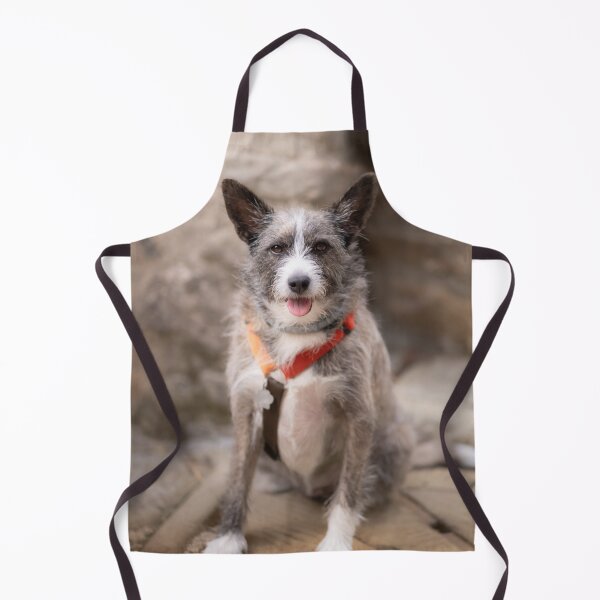 Item preview, Super cute puppy dog white and grey designed and sold by claudiacontena.
