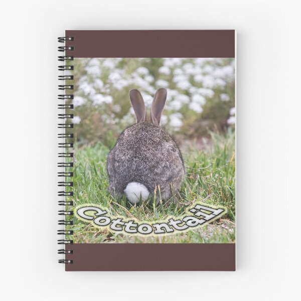 Item preview, Cottontail designed and sold by CarolM.