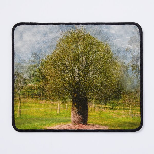 Item preview, Queensland Bottle Tree designed and sold by TedmBinegas.