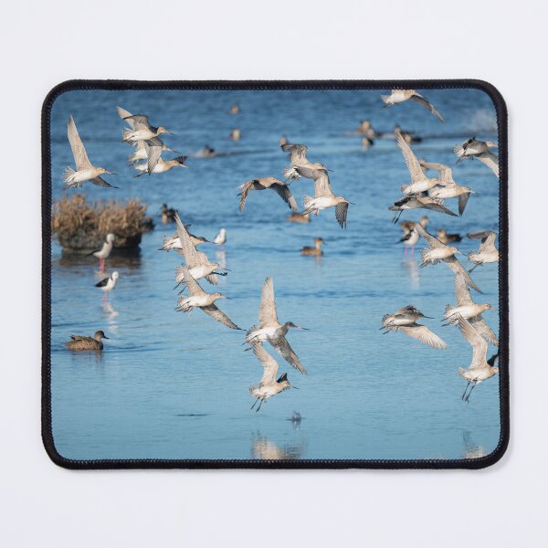 Item preview, Godwit birds flying over lake designed and sold by TedmBinegas.