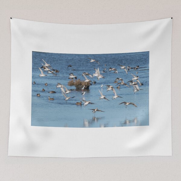 Item preview, A Flock of Bar-tailed Godwit birds designed and sold by TedmBinegas.