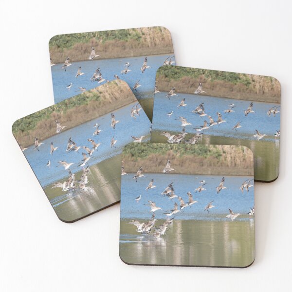 Item preview, A Flock of Godwit birds designed and sold by TedmBinegas.