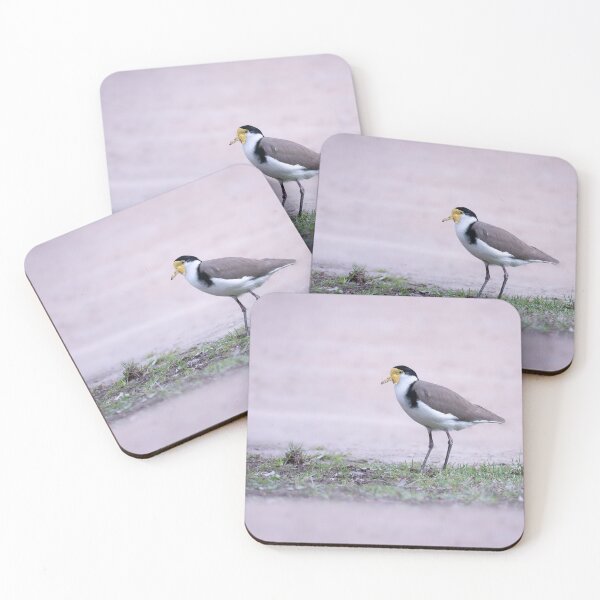 Item preview, Masked Lapwing designed and sold by TedmBinegas.