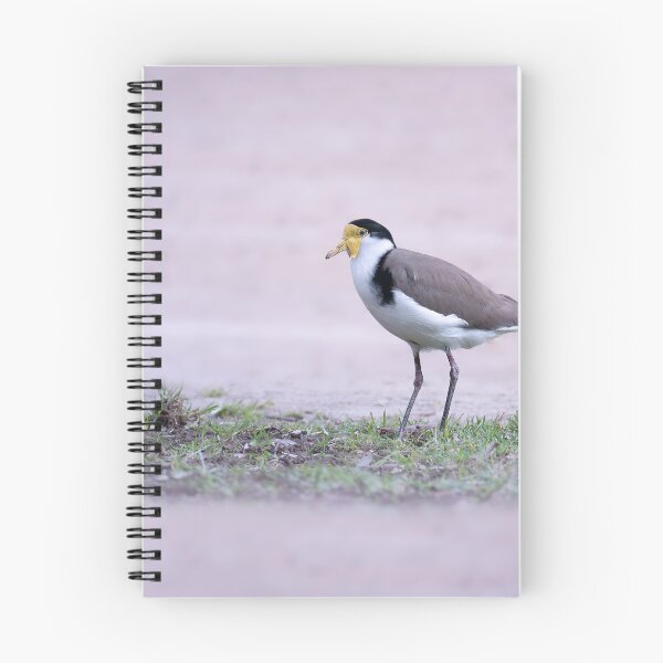 Item preview, Masked Lapwing designed and sold by TedmBinegas.