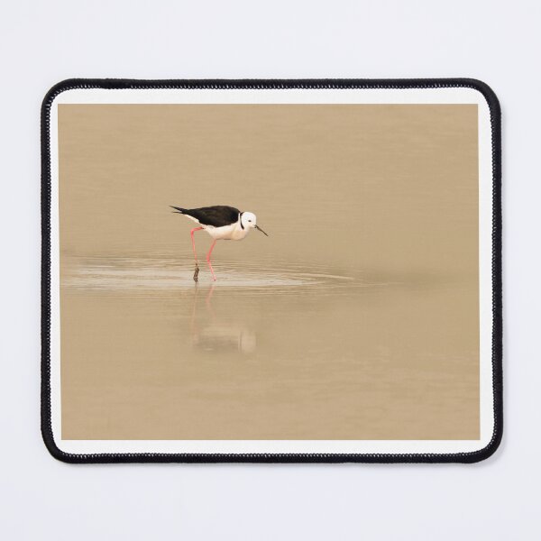Item preview, Pied Stilt 1 designed and sold by TedmBinegas.