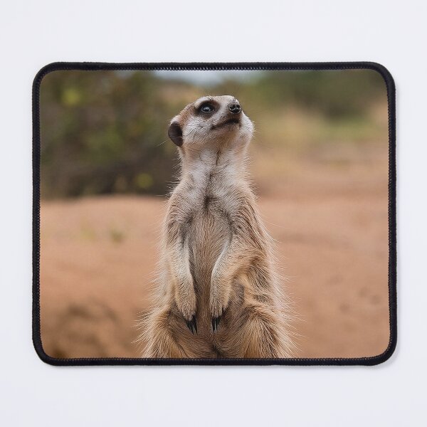 Item preview, Suricata adorable y linda designed and sold by SavannaStyle.