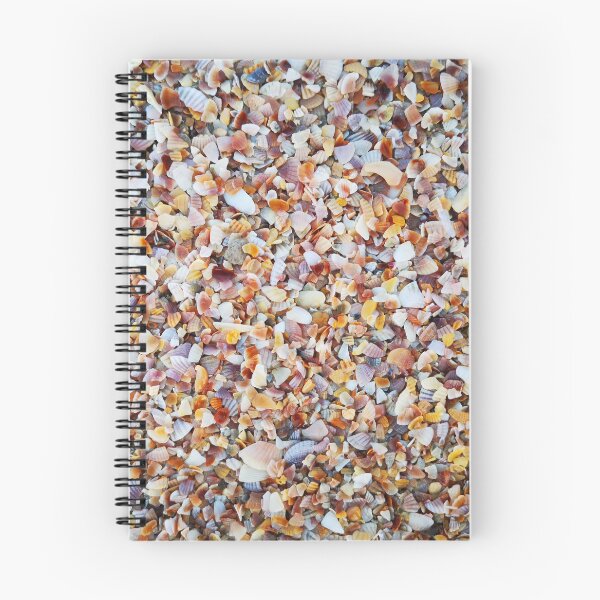 Artikelvorschau, Muscheln im Meer von Krabi entworfen und verkauft von Jongon4289.