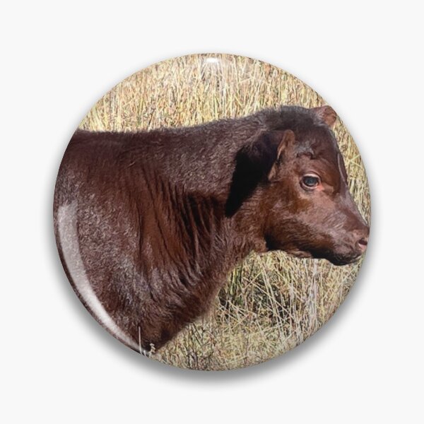 Item preview, Red Poll Calves designed and sold by HelenSpicerArt.