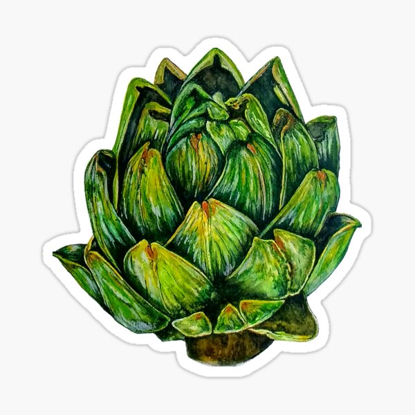 Artikel-Vorschau von Frische Gartenartischocke, designt und verkauft von RhinoDesign.