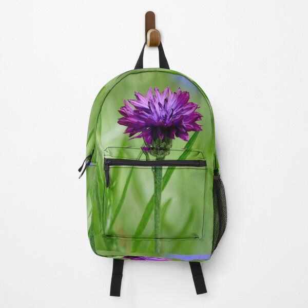 Item preview, The purple Cornflower designed and sold by Jouko Lehto Photography.