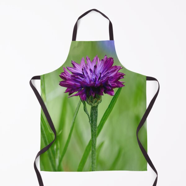 Item preview, The purple Cornflower designed and sold by Jouko Lehto Photography.
